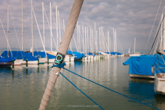 I.-JEGTORO-REGATTA-Antal-Gabor-10