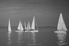 I.-JEGTORO-REGATTA-Antal-Gabor-21