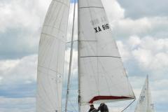 TIM8384