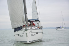 TIM9881