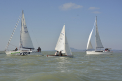 TIM0175
