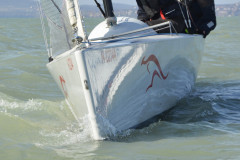 TIM0215