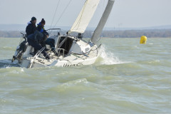 TIM0219