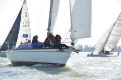 TIM0229