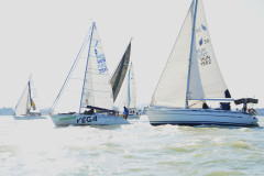 TIM0231