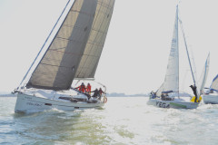TIM0241