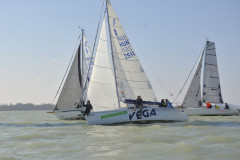 TIM0254