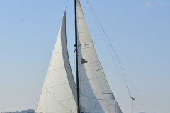 TIM0268