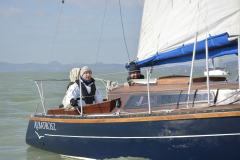 TIM0337