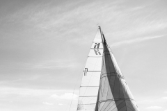 IMG_6454