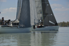 TIM0619