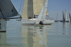 TIM0658