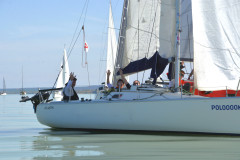 TIM0667