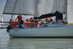 TIM0669