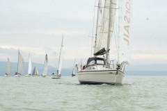 TIM0441
