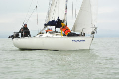 TIM0443