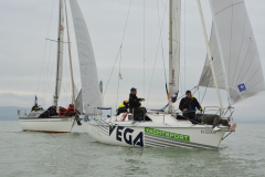 TIM0454