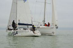 TIM0469