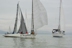 TIM0477