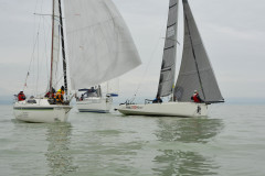 TIM0480