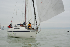 TIM0481