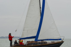 TIM0529