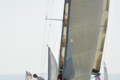 TIM8563
