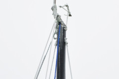 TIM0101