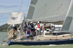 TIM5373