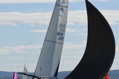 TIM5391