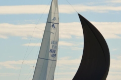 TIM5392