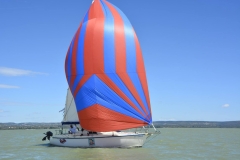 TIM5420