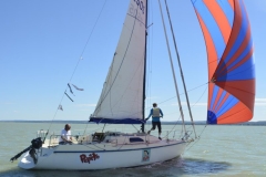 TIM5423