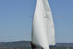 TIM5428