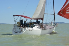 TIM5445