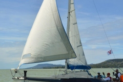 TIM5446