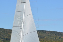 TIM5451